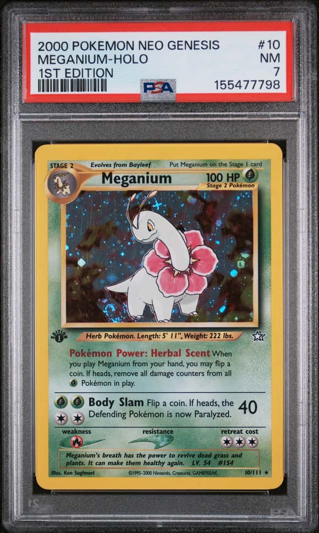 Meganium