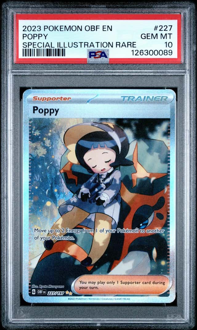 Poppy