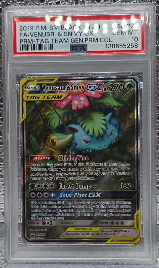 Venusaur & Snivy GX