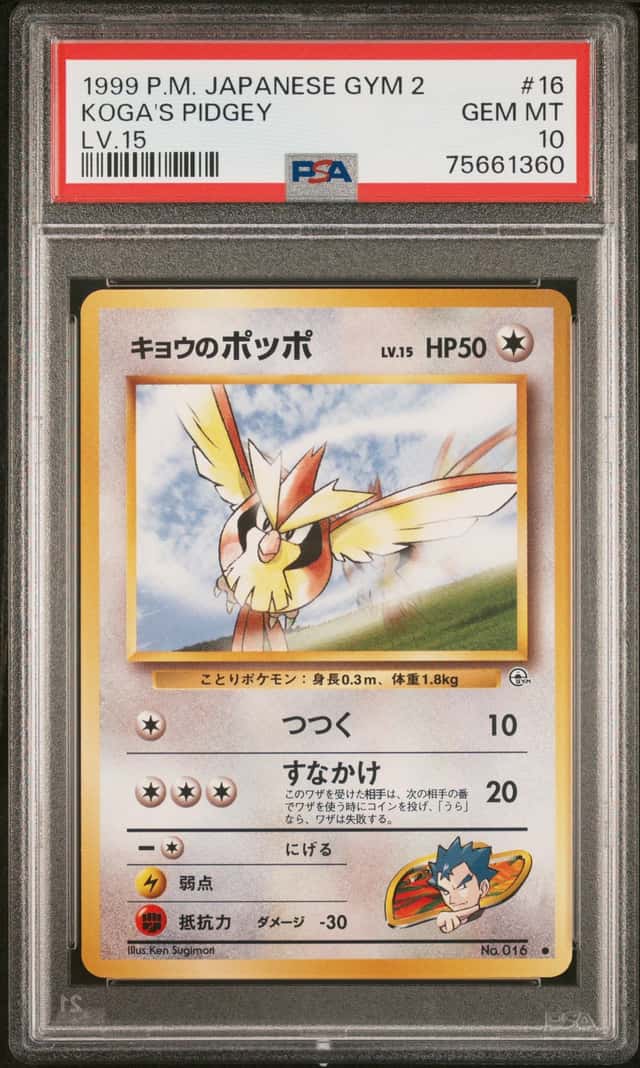 Koga's Pidgey