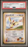 Koga'S Pidgey