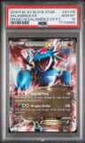 Salamence Ex