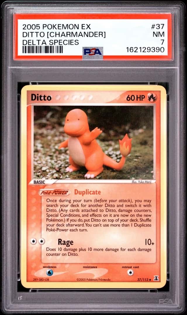 Ditto [Charmander]