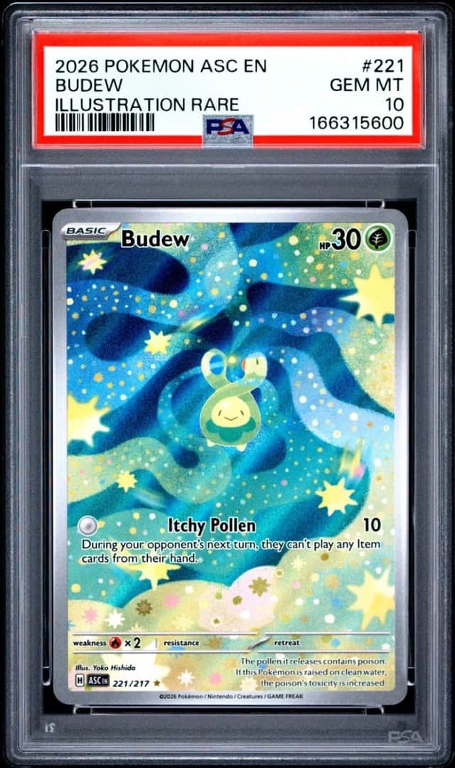 Budew
