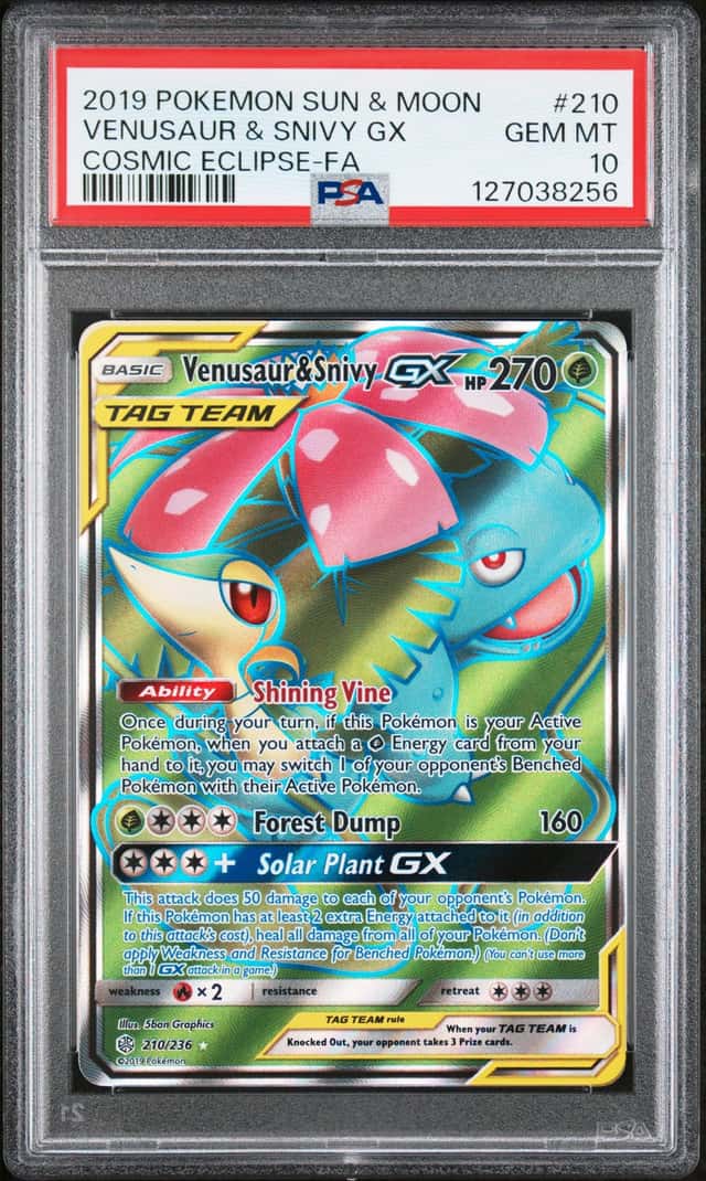 Venusaur & Snivy GX