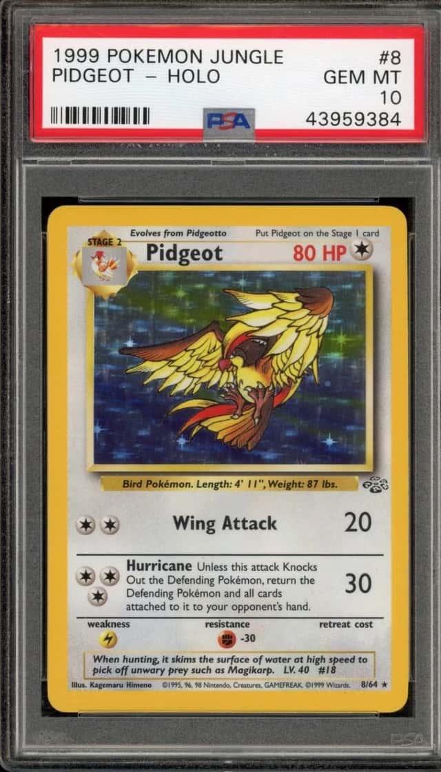 Pidgeot