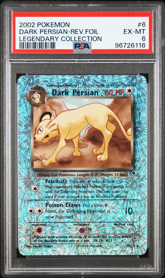Dark Persian