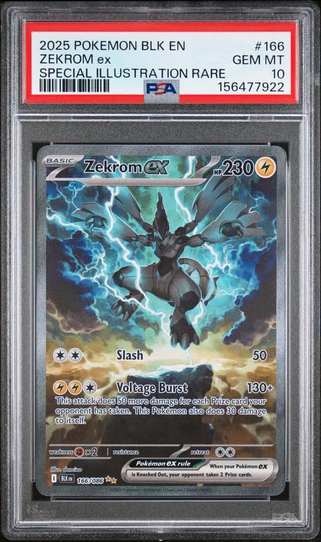 ZEKROM ex