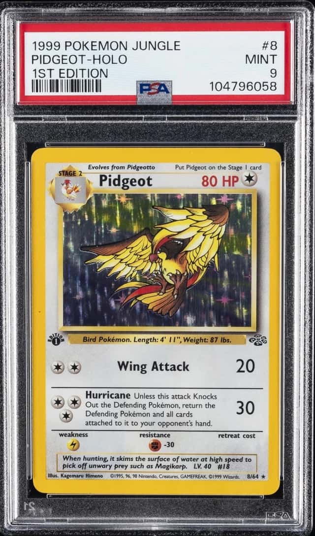 Pidgeot
