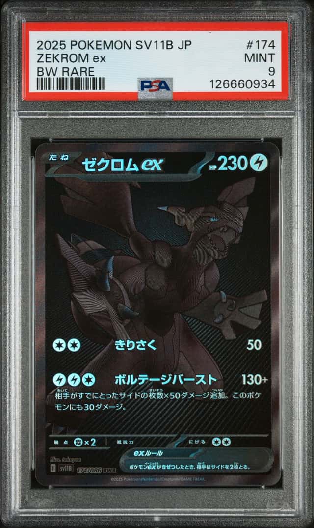 ZEKROM ex
