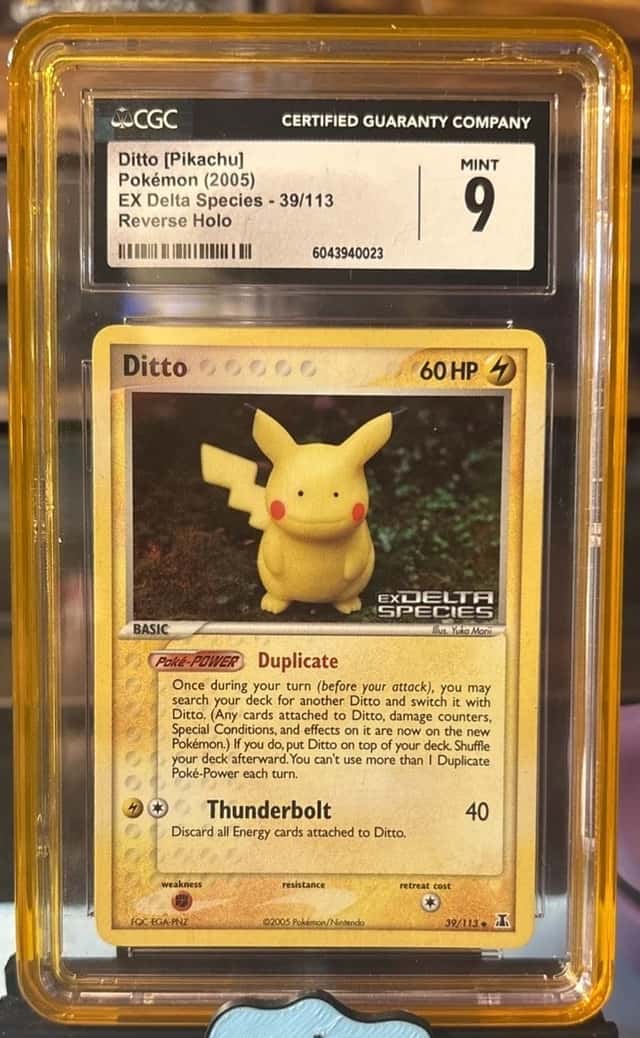 Ditto