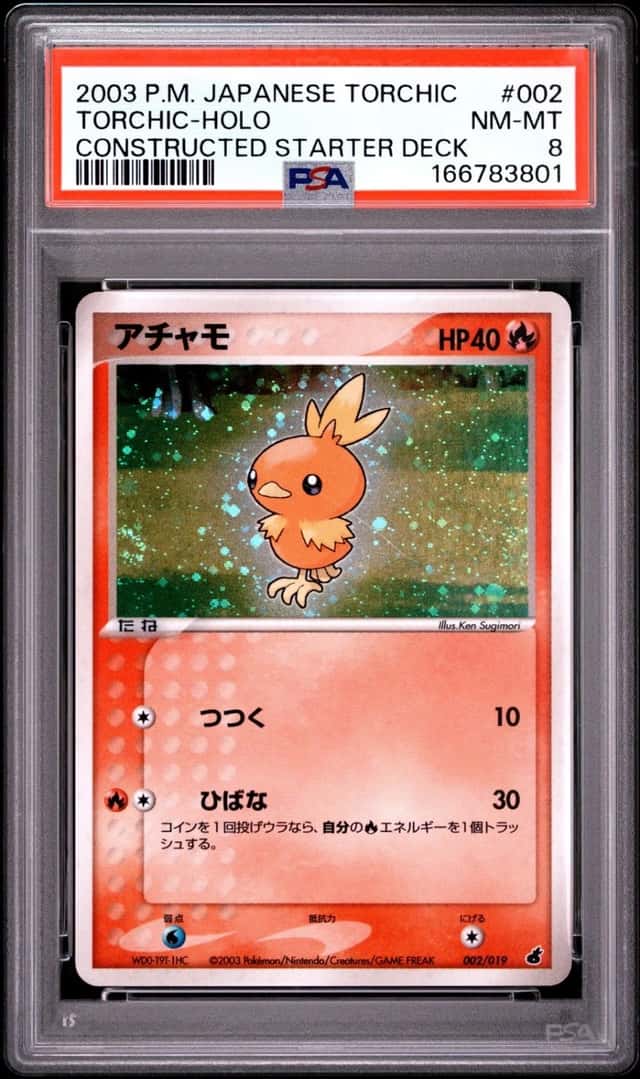 Torchic