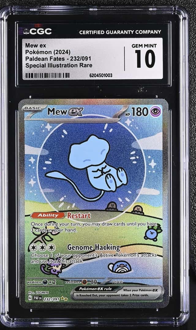MEW ex