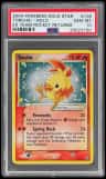 Torchic
