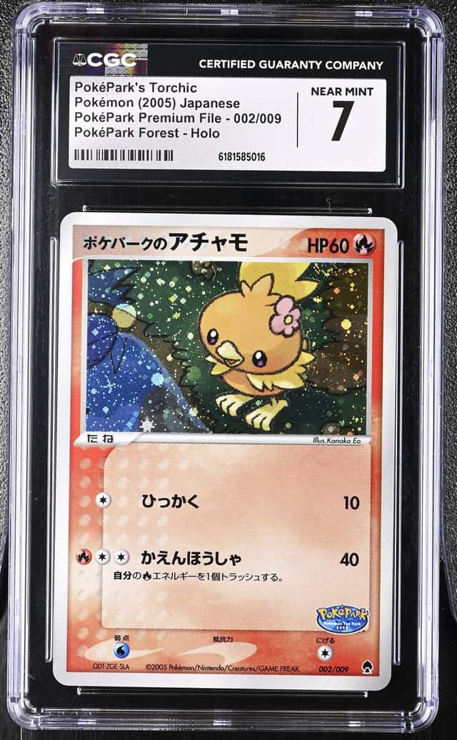 PokéPark's Torchic