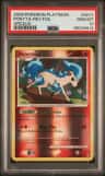 Ponyta