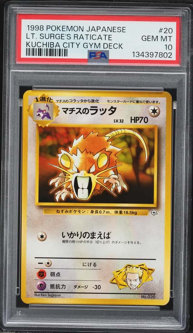 Lt. Surge's Raticate