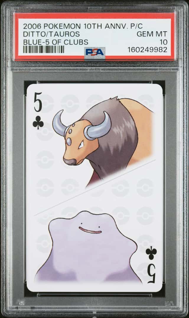 Ditto/Tauros