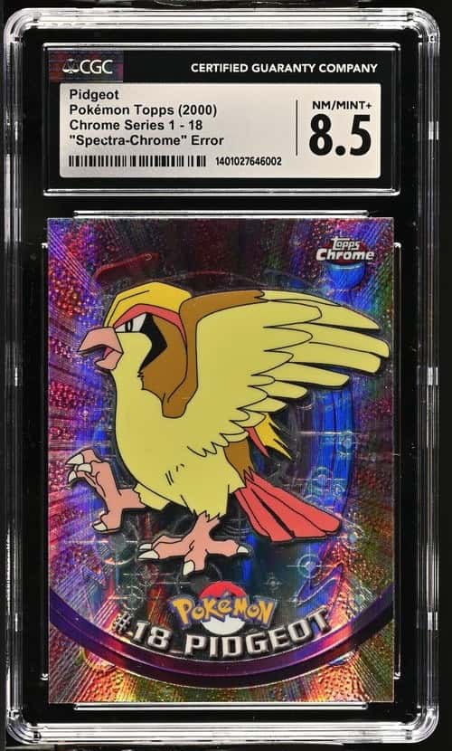 Pidgeot