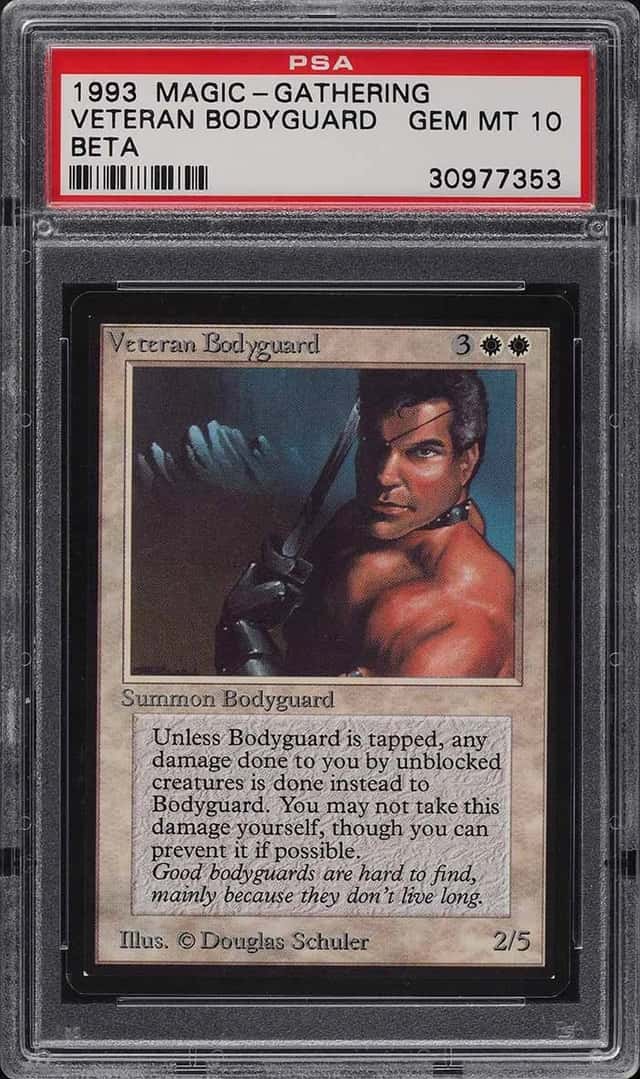 Veteran Bodyguard