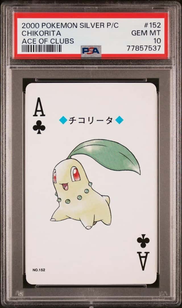 Chikorita