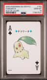 Chikorita