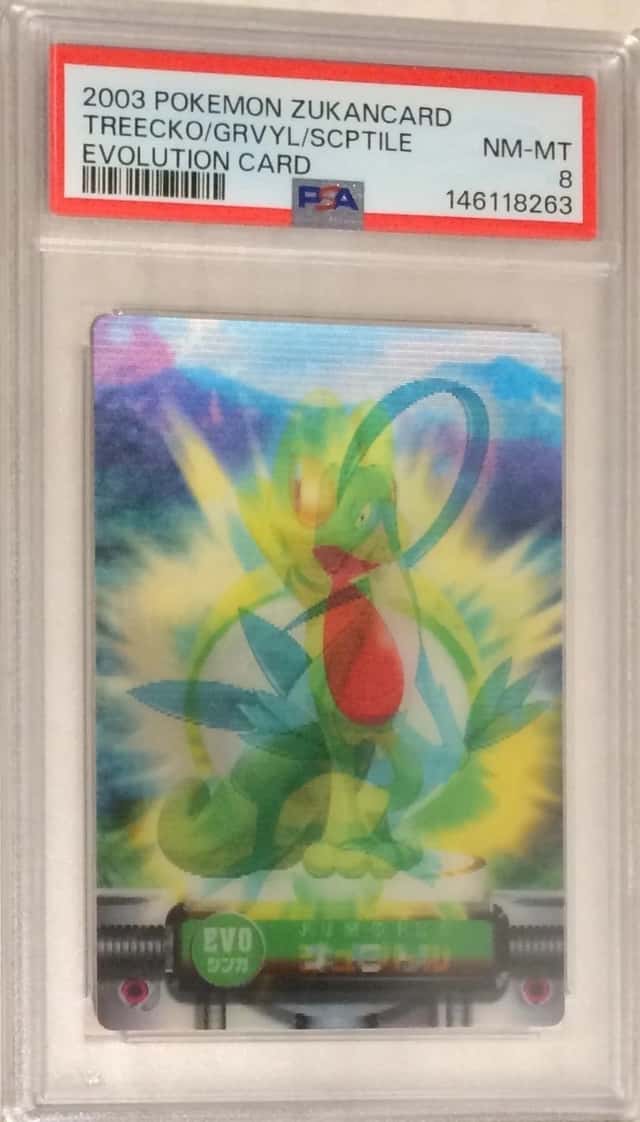 TREECKO/GRVYL/SCPTILE