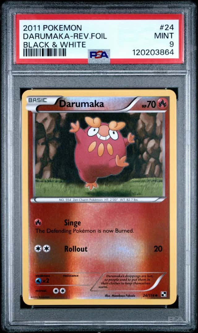 Darumaka