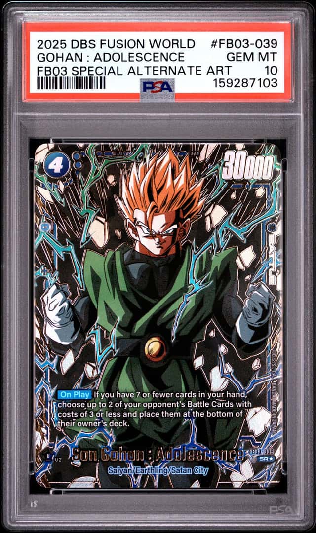 Gohan : Adolescence
