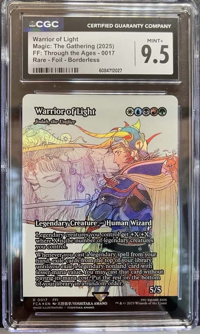 Warrior Of Light