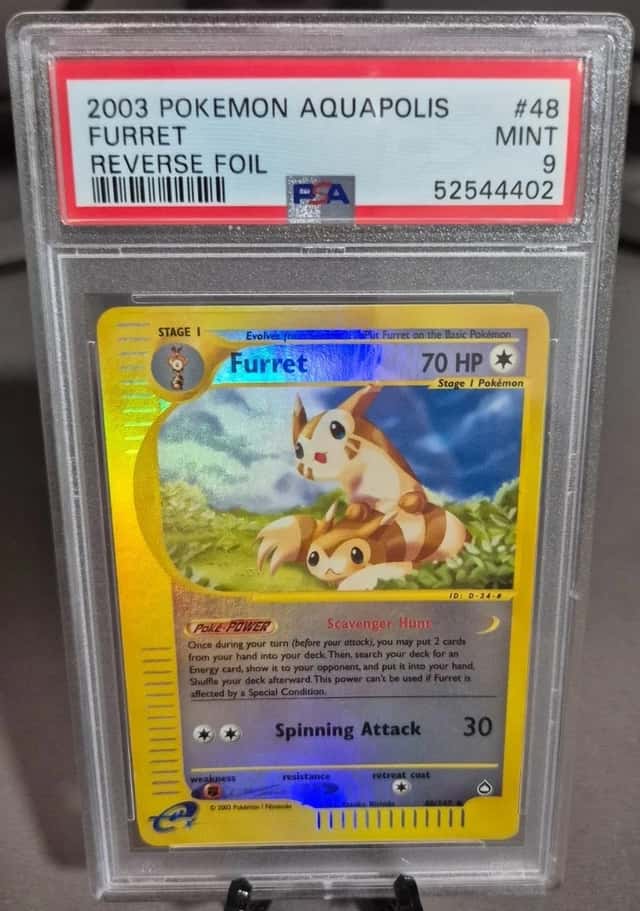 Furret
