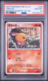 Torchic