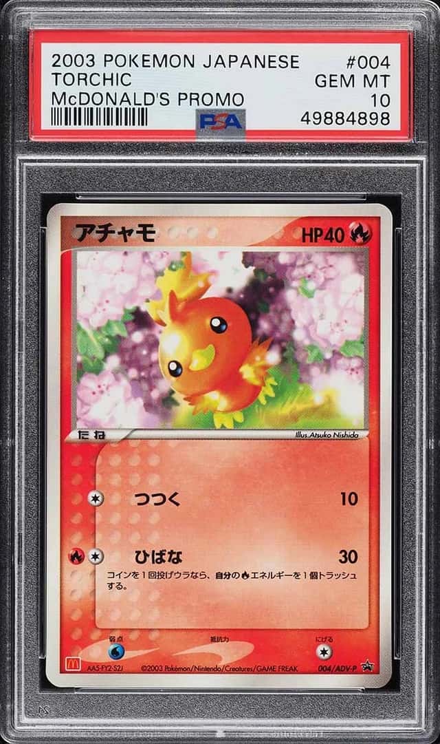 Torchic