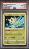 Celebi V