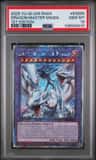 Dragon Master Magia