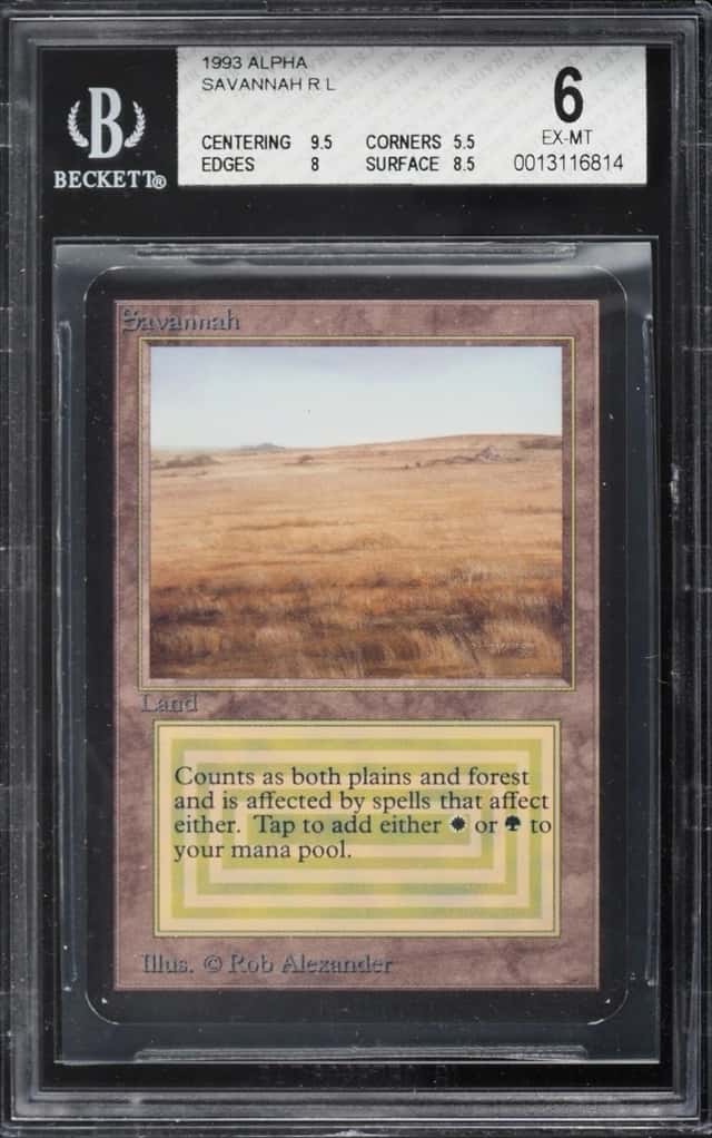 Savannah R