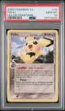 Pichu δ