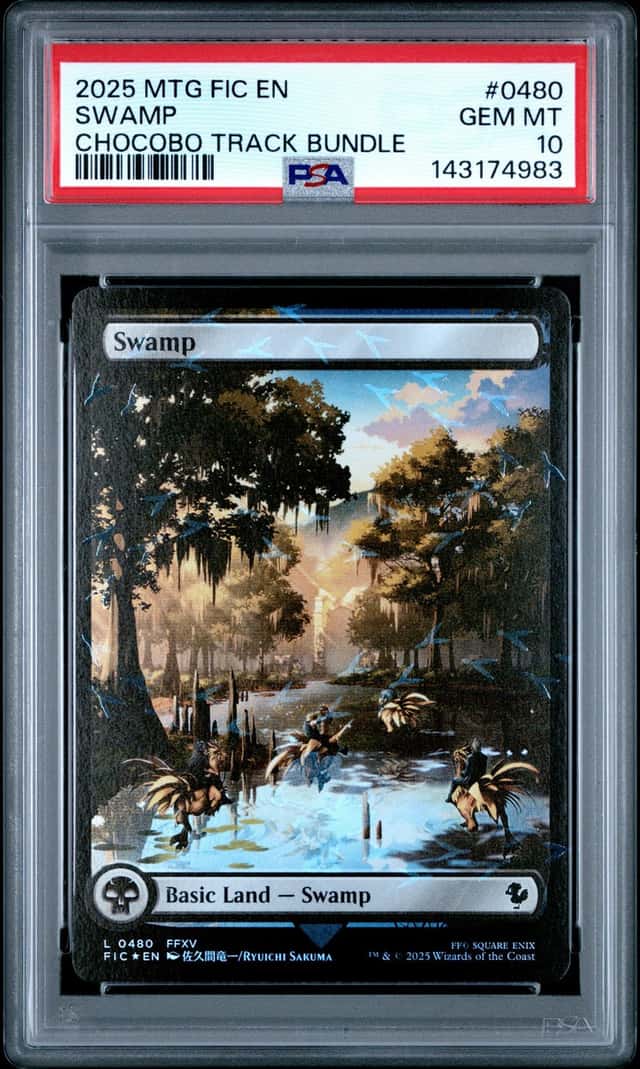 Swamp