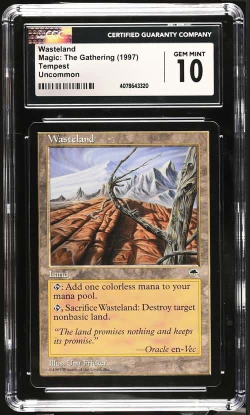 Wasteland