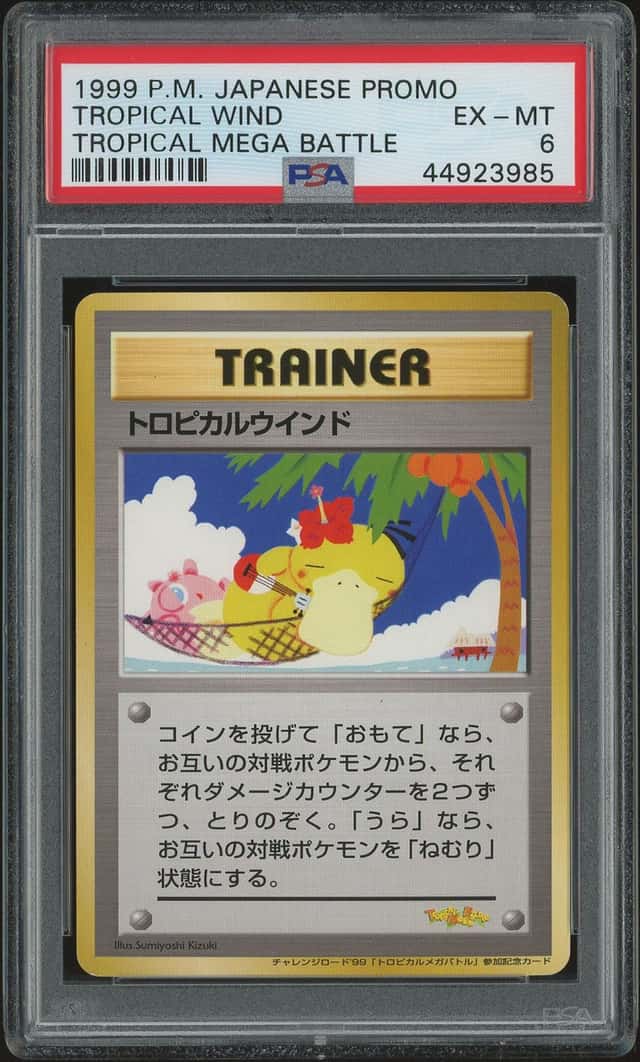 Tropical Wind