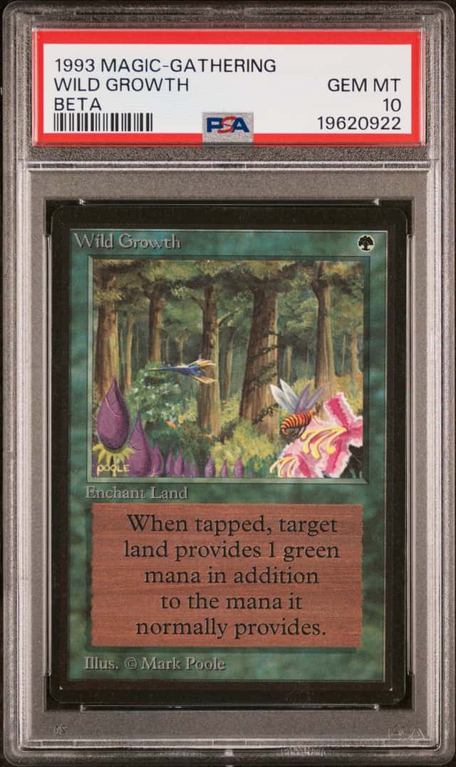 Wild Growth