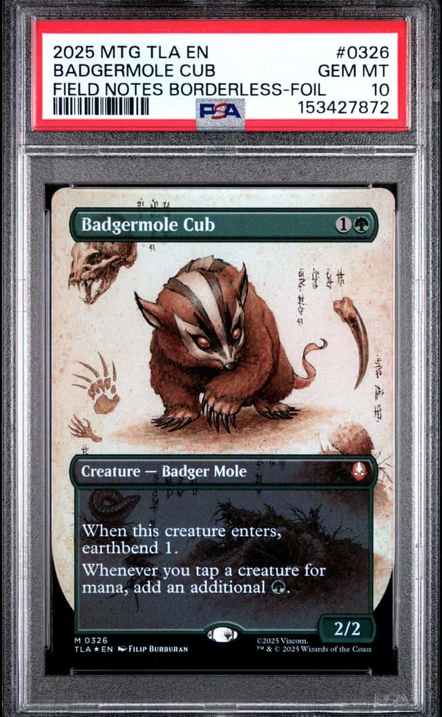 Badgermole Cub