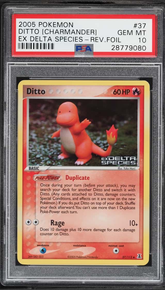 Ditto [Charmander]