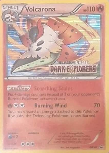 Prerelease