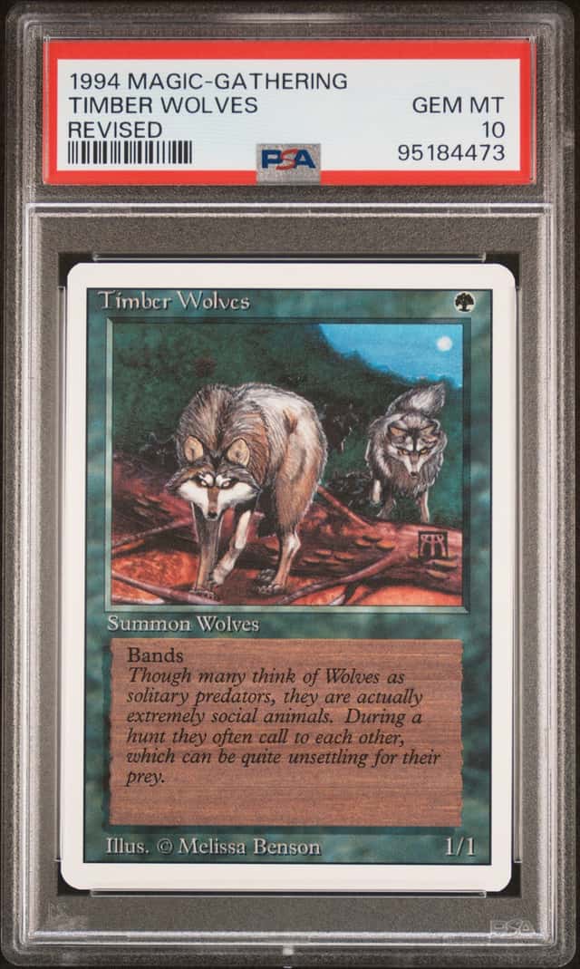 Timber Wolves