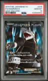 Aggron Ex