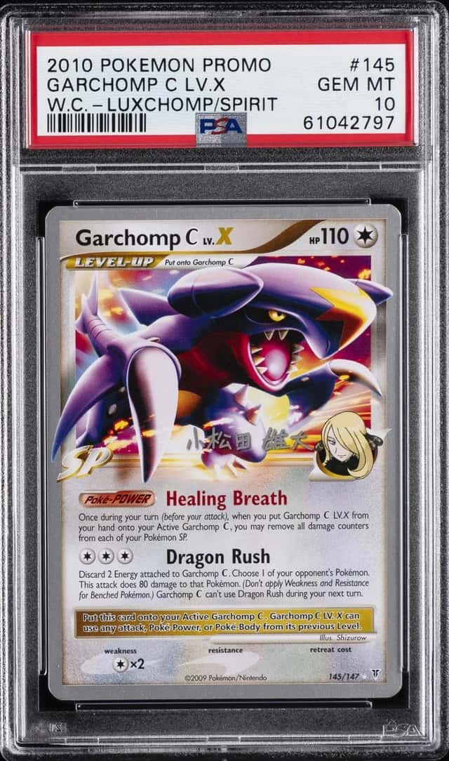 GARCHOMP C LV.X