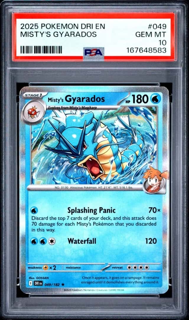 Misty's Gyarados