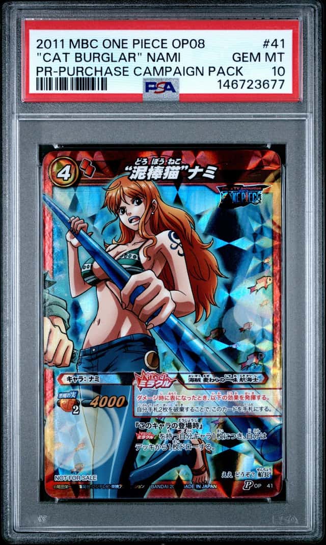 "Cat Burglar" Nami
