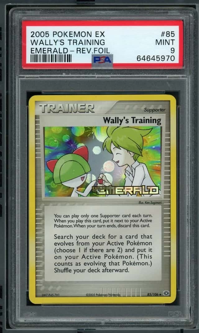 Wally's Training